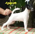 Agapion-Filo G.I.Jane 14 Weeks